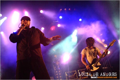   Marea  