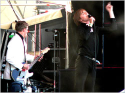 The Hives