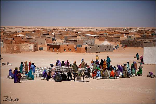 Campamentos Saharauis - Foto de Alfredo Pîedrafita